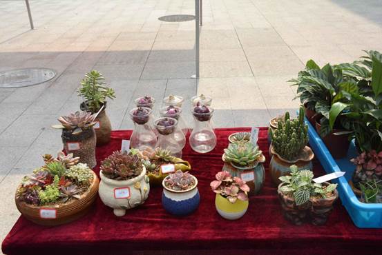 QQ图片20181017193802