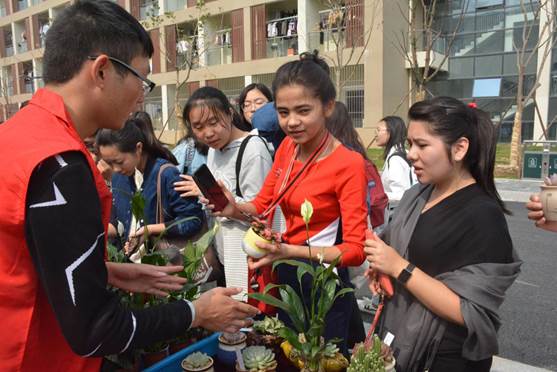 QQ图片20181017194858